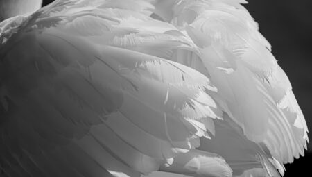 2025 Güncel İstanbul Boşanma Avukatı Ücretleri ve Hizmetleri