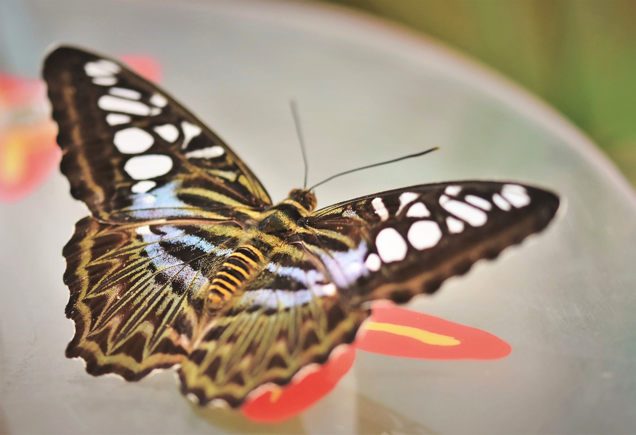 Bağcılar’da Boşanma Avukatı Seçimi: Hangi Kriterlere Dikkat Edilmeli?
