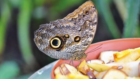 Beylikdüzü Boşanma Avukatı: Anlaşmalı ve Çekişmeli Boşanmalarda Destek