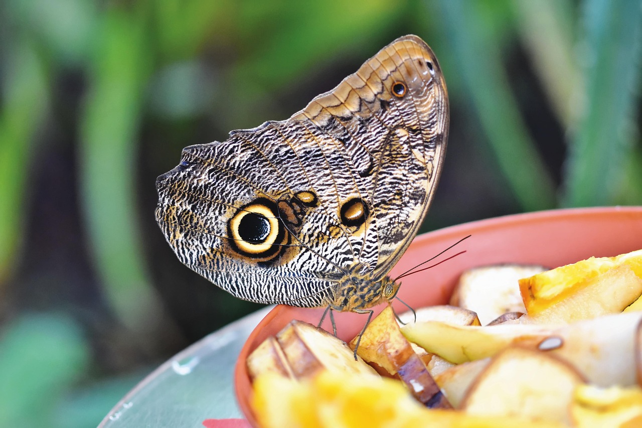 Beylikdüzü Boşanma Avukatı: Anlaşmalı ve Çekişmeli Boşanmalarda Destek