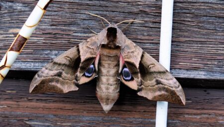 Beyoğlu’nda En İyi Boşanma Avukatını Bulmanın Yolları