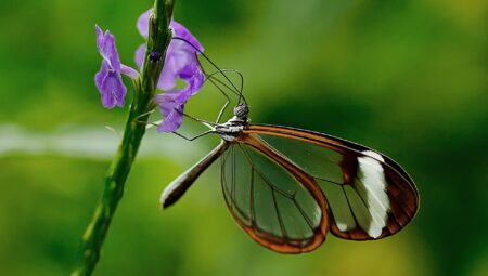 İstanbul’un En İyi Boşanma Avukatlarıyla Çalışmanın Avantajları Nelerdir?