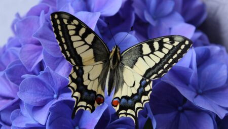 Zeytinburnu’nda Boşanma Davası İçin En Güvenilir Hukuk Büroları